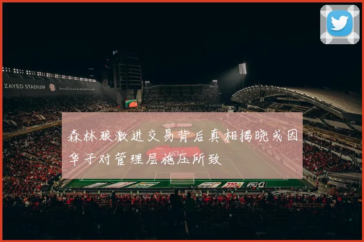 森林狼激进交易背后真相揭晓或因华子对管理层施压所致