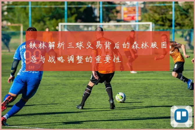 铁林解析三球交易背后的森林狼困惑与战略调整的重要性