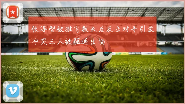 张淳智被推飞数米后反击对手引发冲突三人被驱逐出场